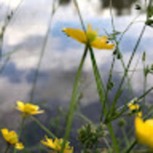 Meet your Posher, Mia